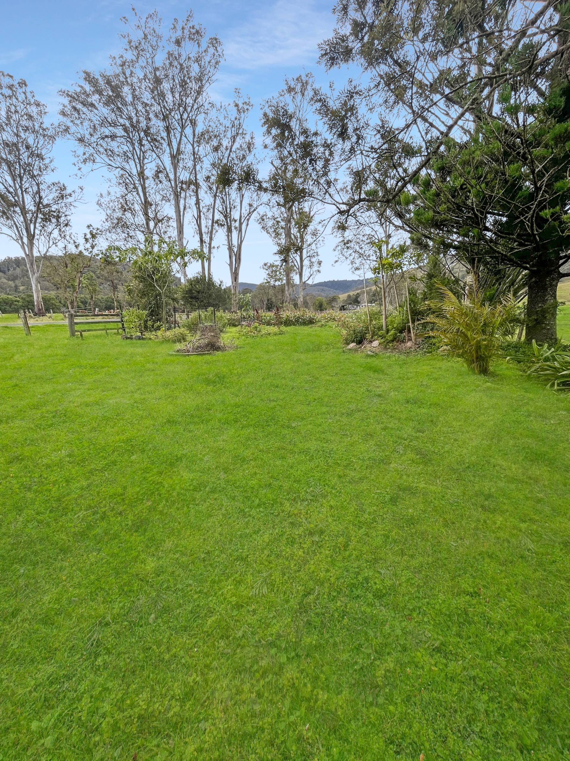 803 Findon Creek Rd, Kyogle - Thumbnail 8