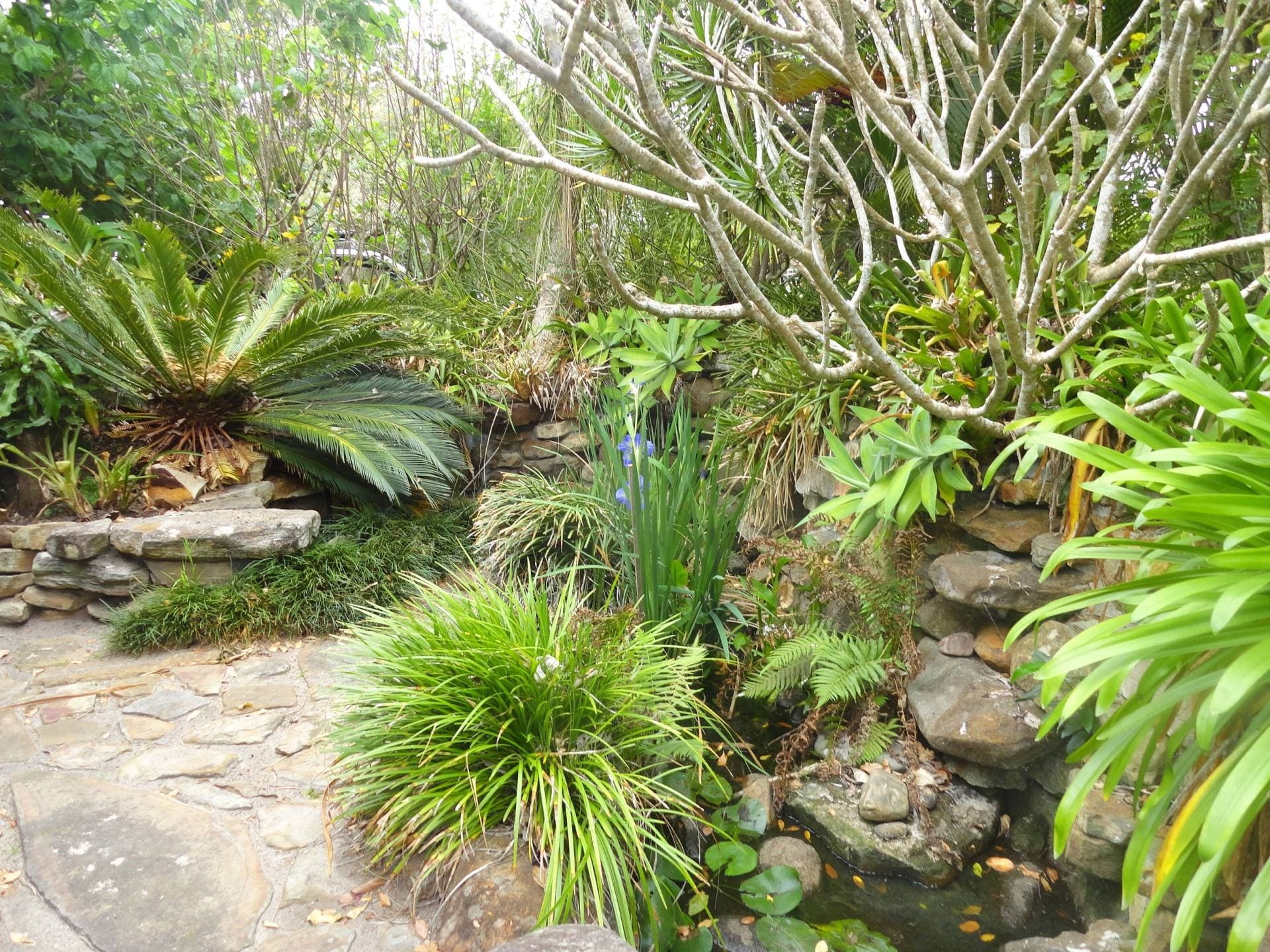 26 Pratt Street, Kyogle - Thumbnail 3
