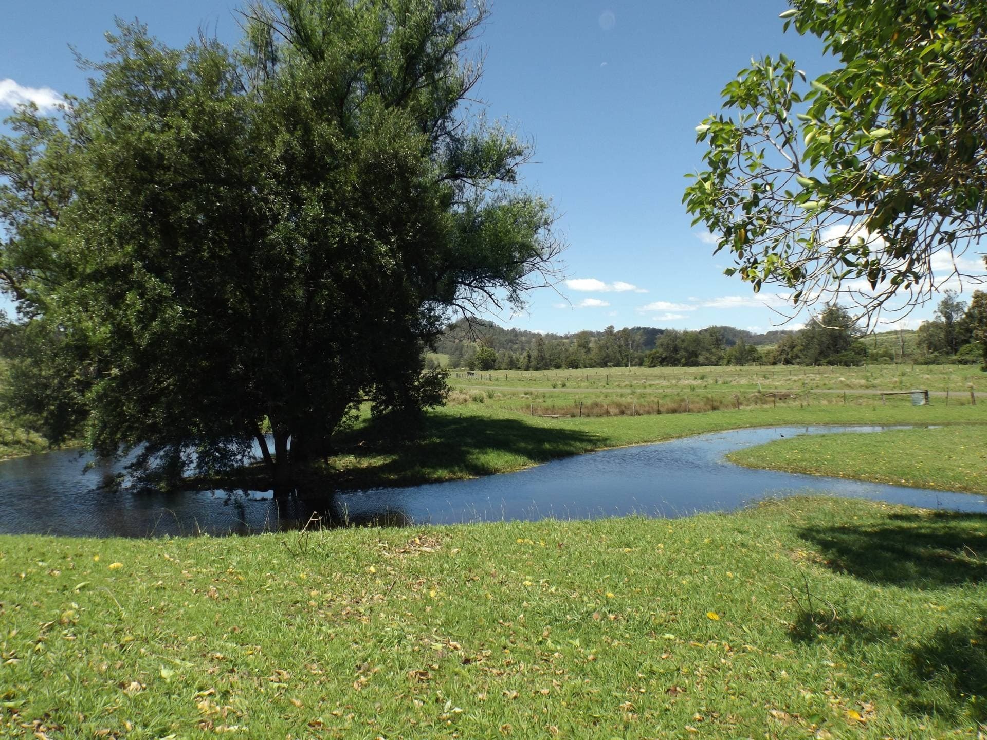 3466 Sextonville Rd, Kyogle - Thumbnail 2