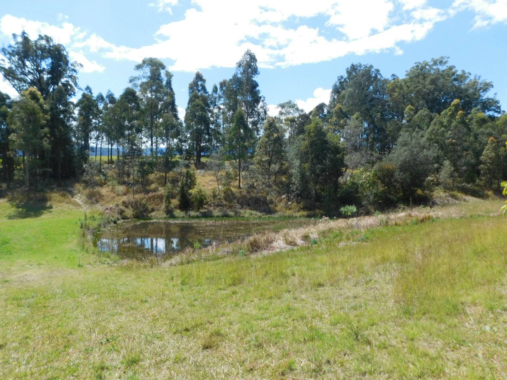 104 DAVIS ROAD, Kyogle - Thumbnail 3