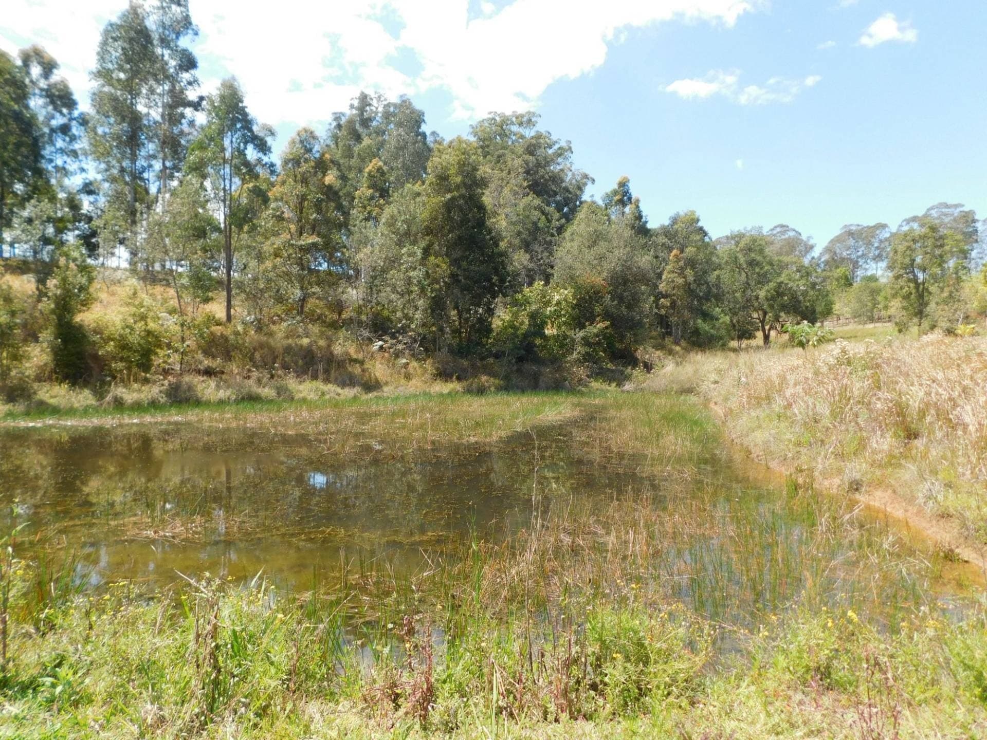 104 DAVIS ROAD, Kyogle - Thumbnail 5