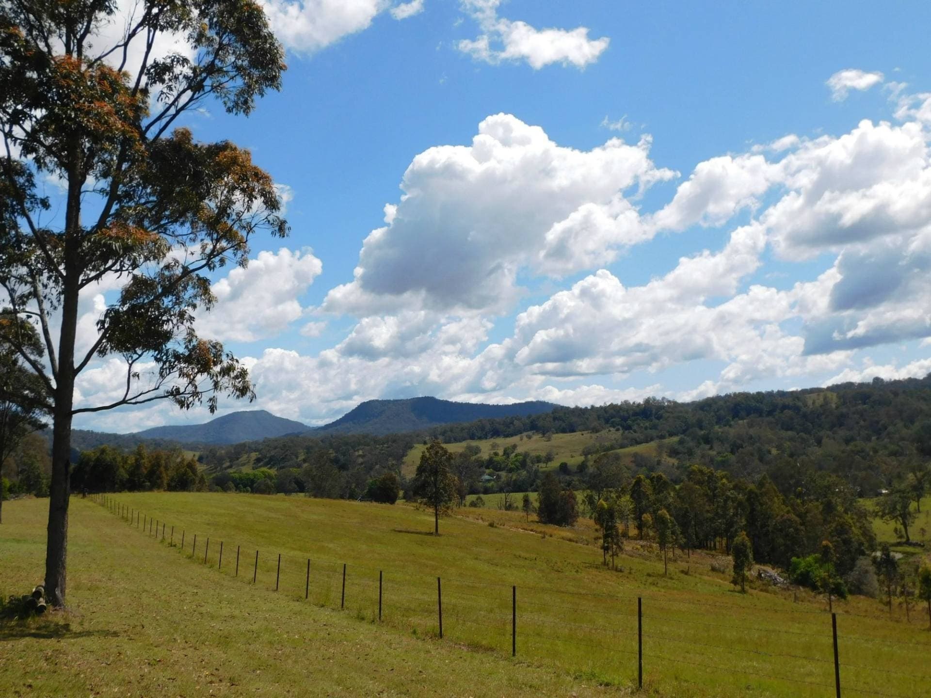 104 DAVIS ROAD, Kyogle - Thumbnail 6