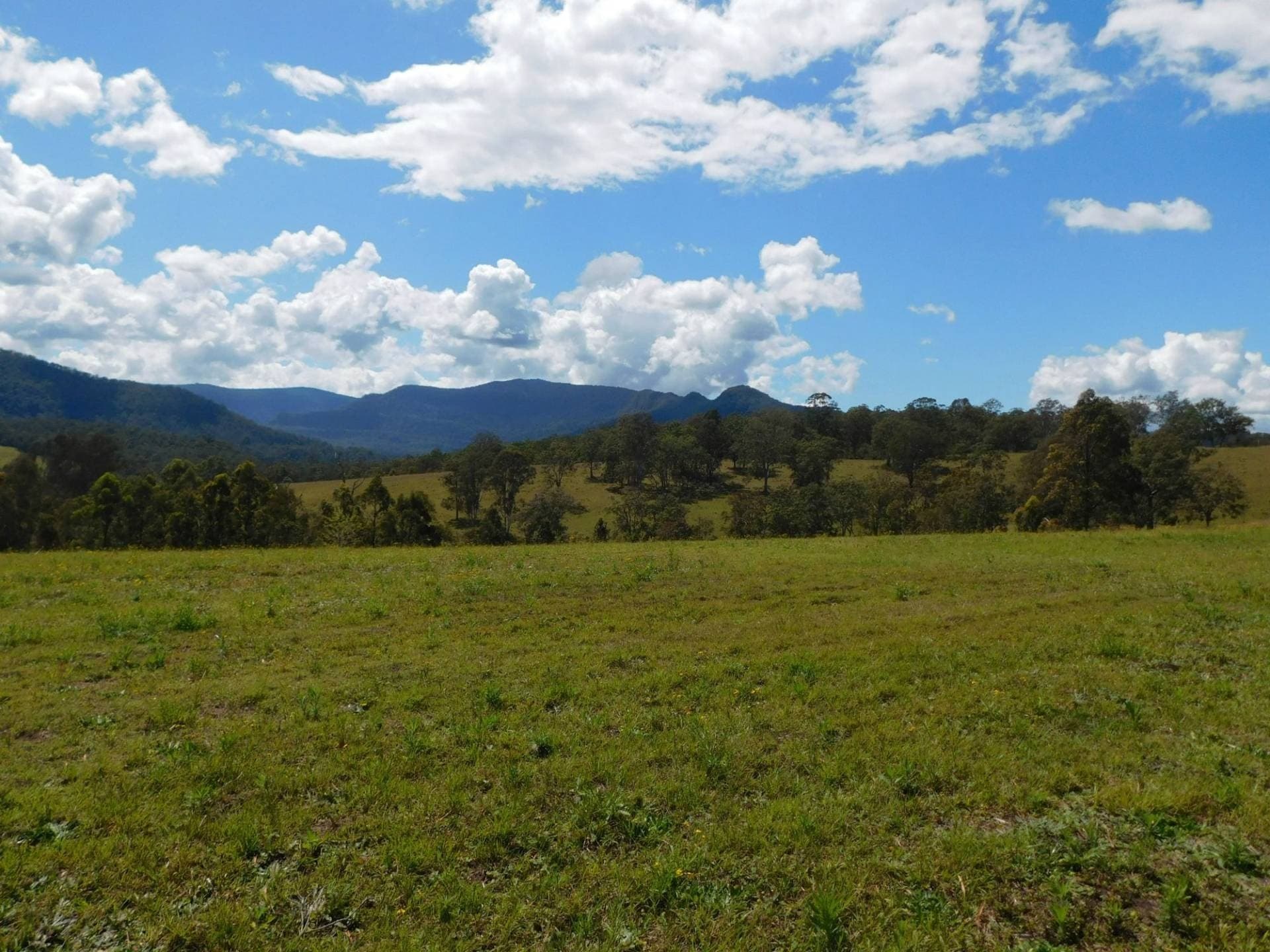 104 DAVIS ROAD, Kyogle - Thumbnail 7