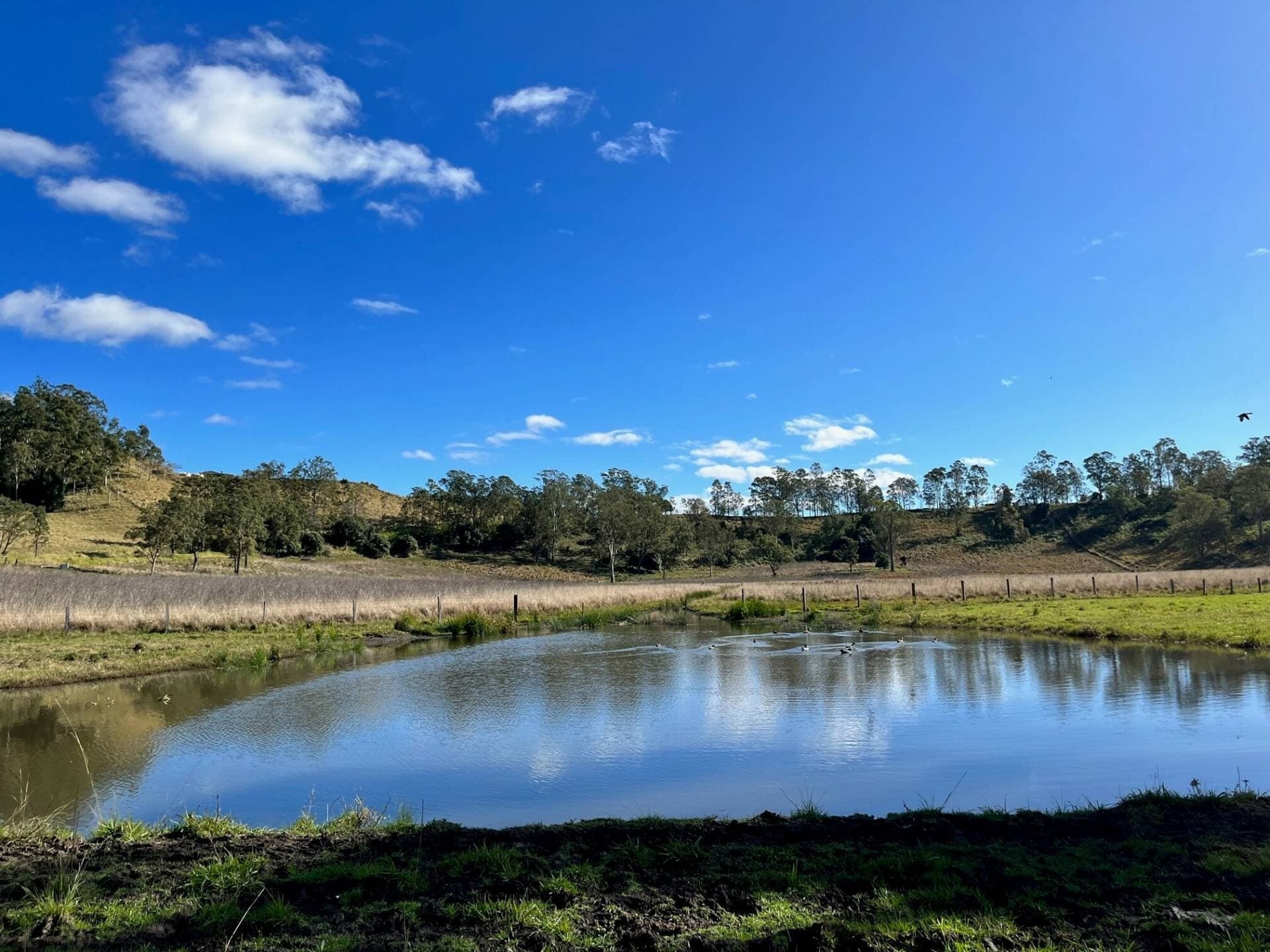 318 Hillyards Road, Kyogle - Thumbnail 2