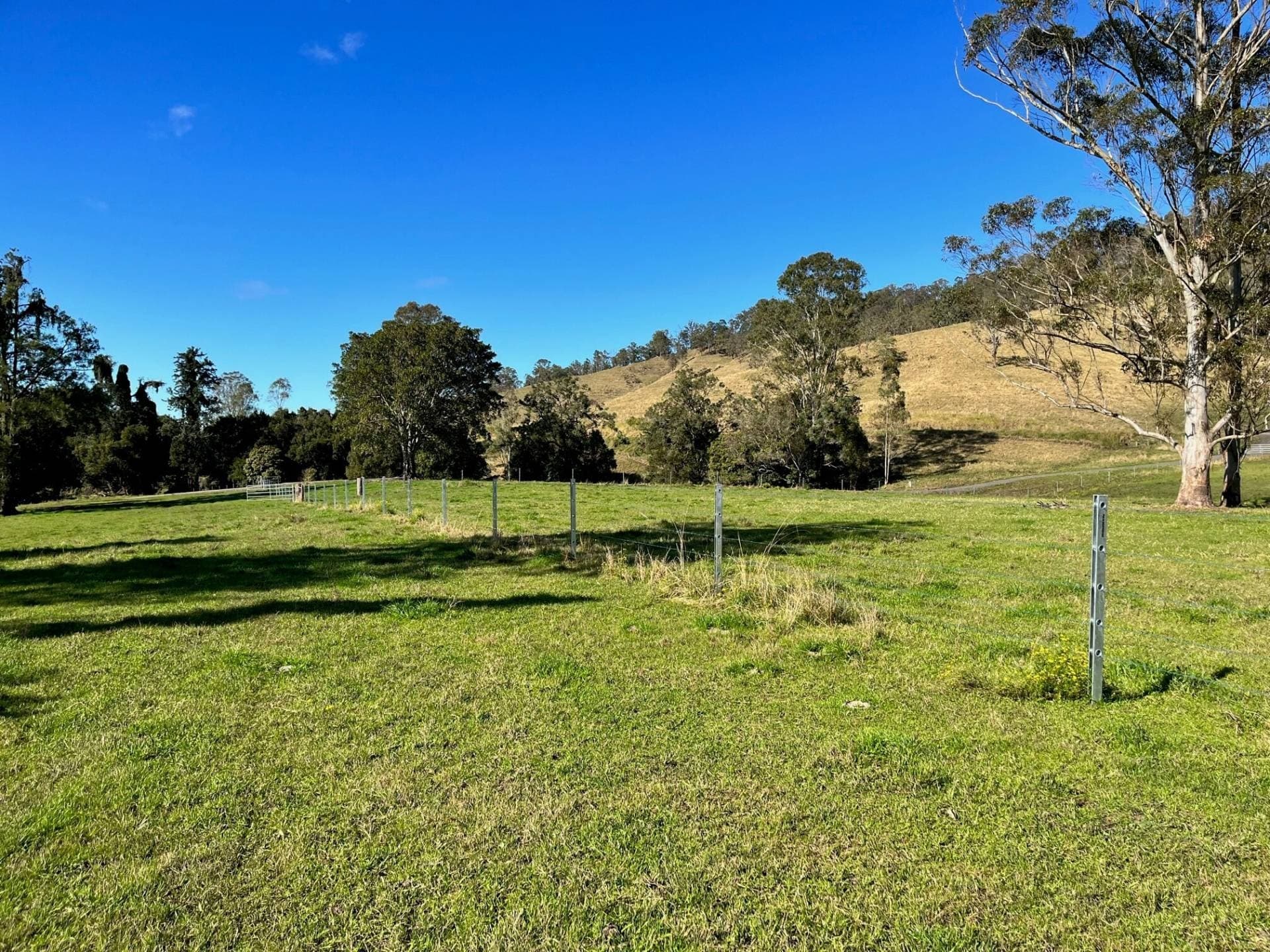 318 Hillyards Road, Kyogle - Thumbnail 4