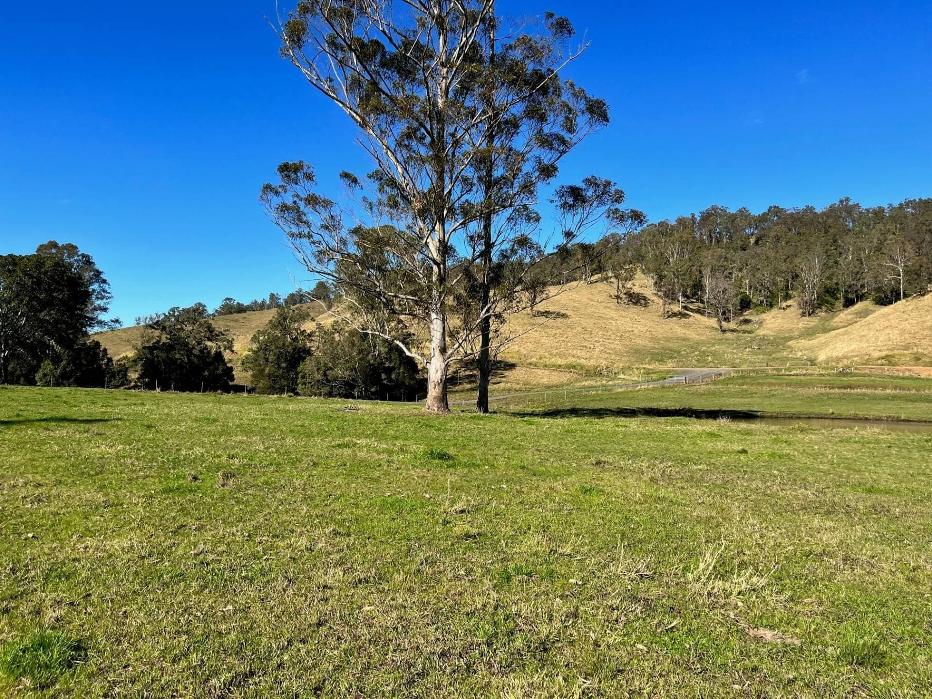 318 Hillyards Road, Kyogle - Thumbnail 6