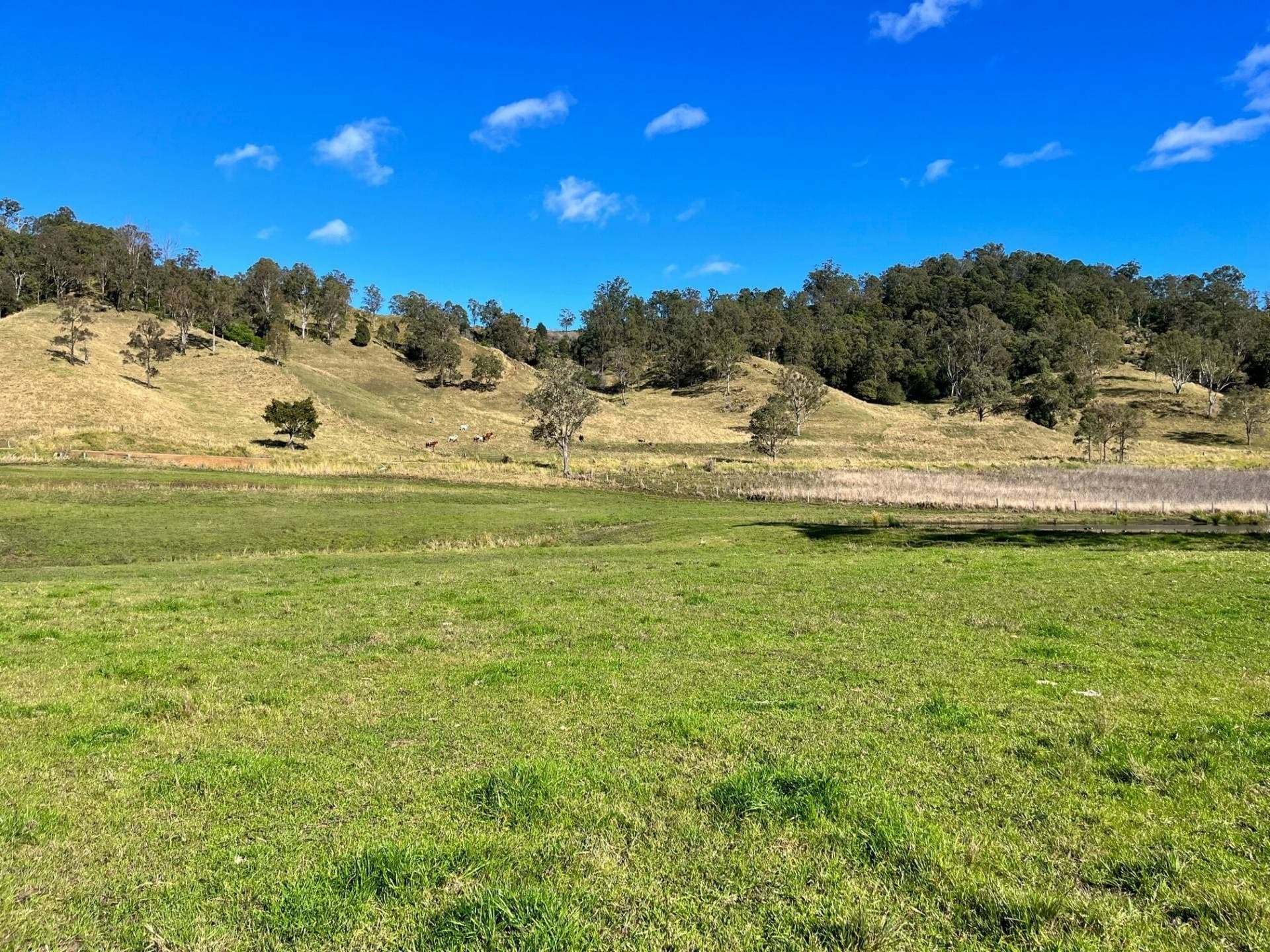318 Hillyards Road, Kyogle - Thumbnail 8