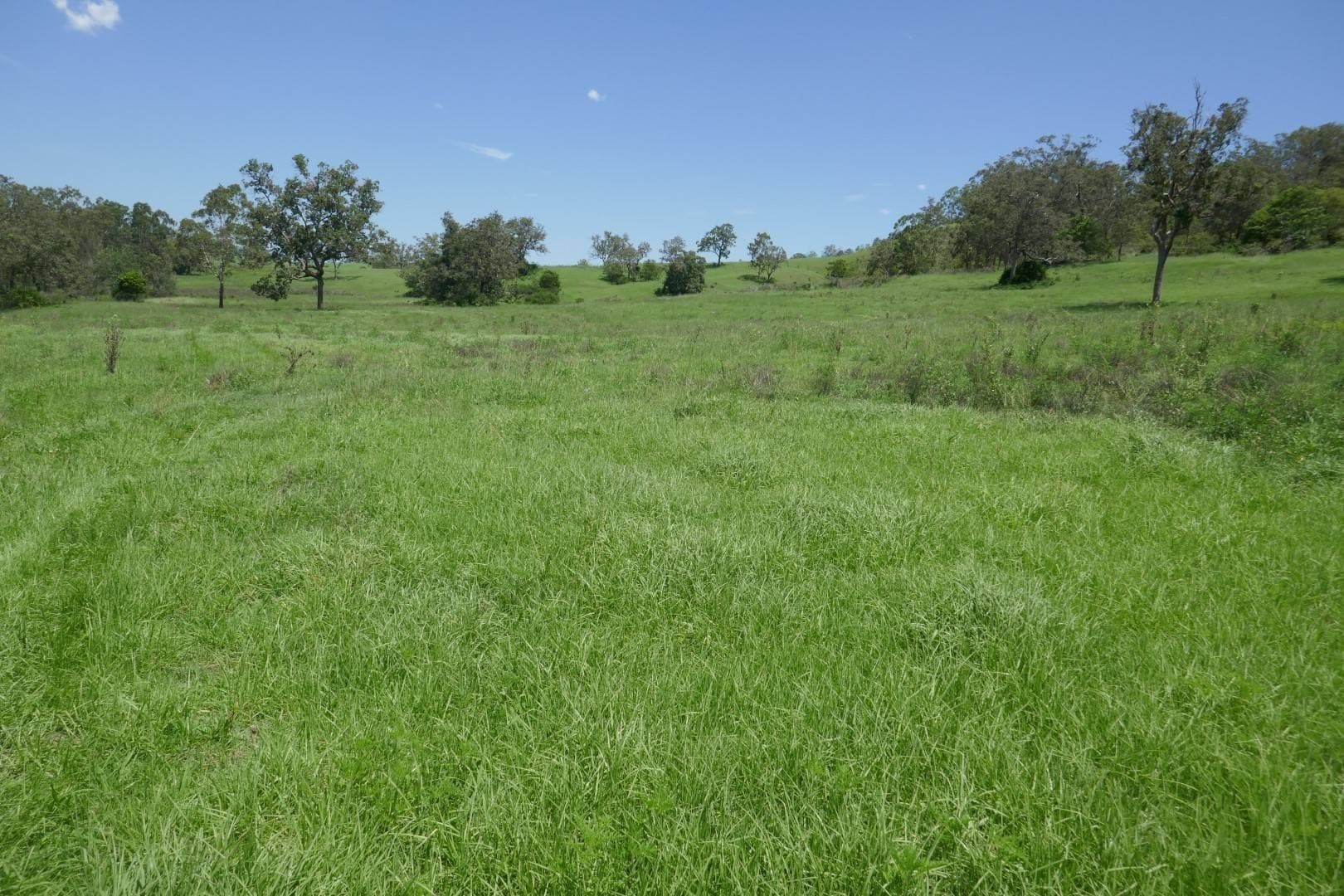 Lot 5 Blackhorse Road, Kyogle - Thumbnail 2