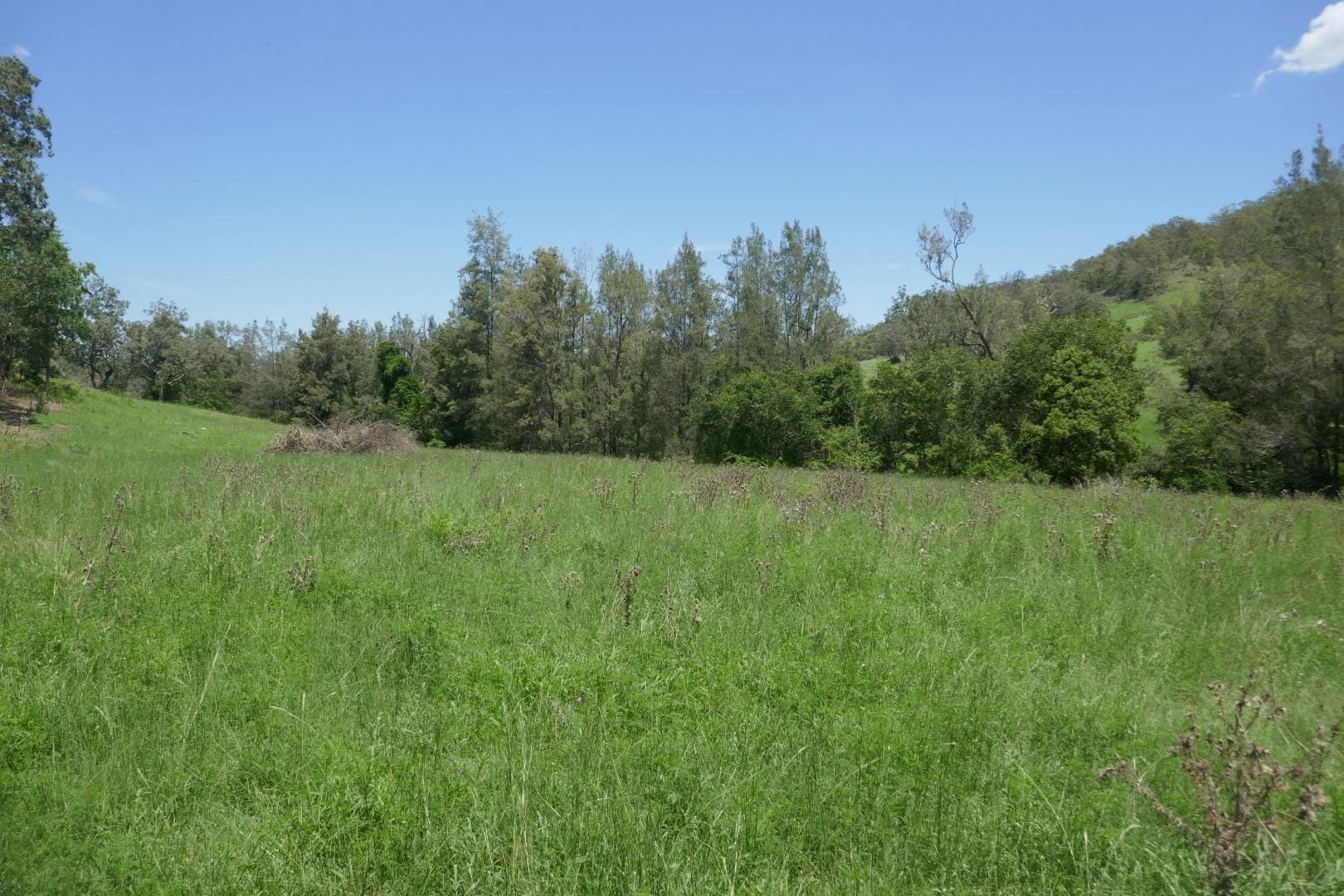 Lot 5 Blackhorse Road, Kyogle - Thumbnail 3