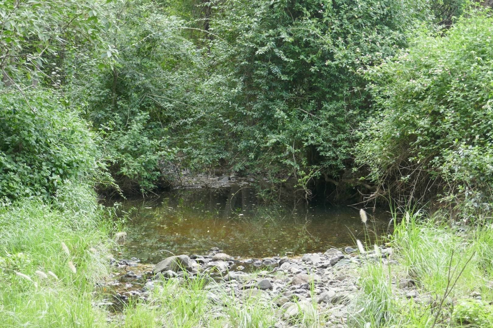 Lot 5 Blackhorse Road, Kyogle - Thumbnail 4