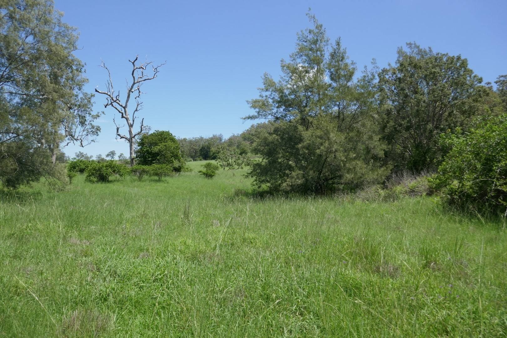 Lot 5 Blackhorse Road, Kyogle - Thumbnail 5