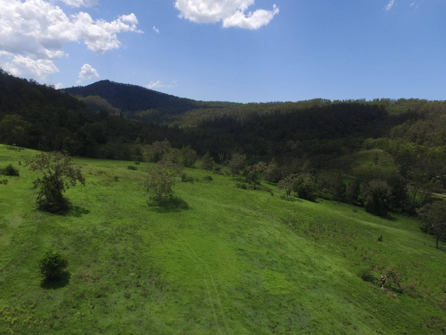 Lot 5 Blackhorse Road, Kyogle - Thumbnail 6