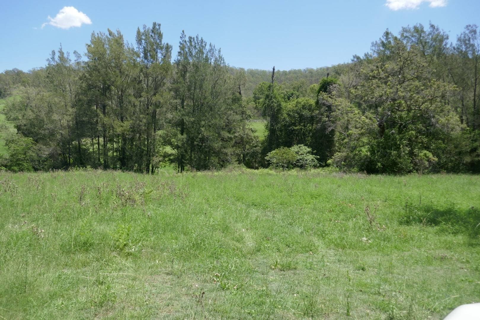 Lot 5 Blackhorse Road, Kyogle - Thumbnail 7