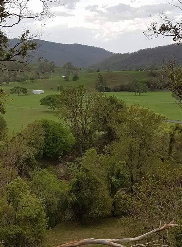 LOT 35 Findon Creek Road, Kyogle - Thumbnail 2