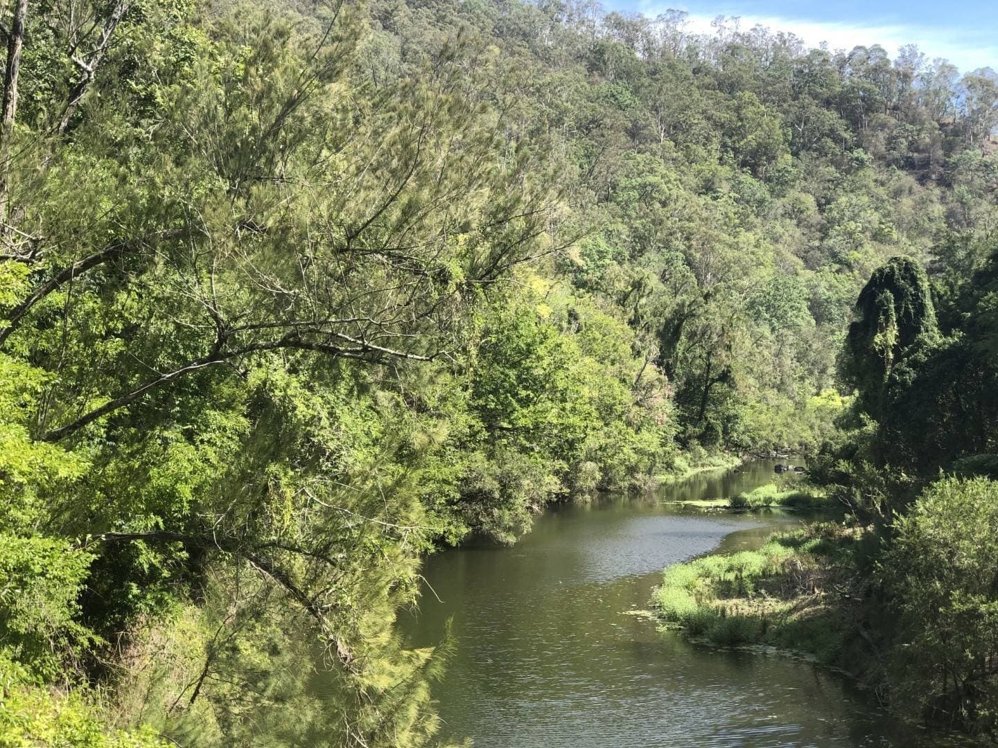 LOT 35 Findon Creek Road, Kyogle - Thumbnail 4