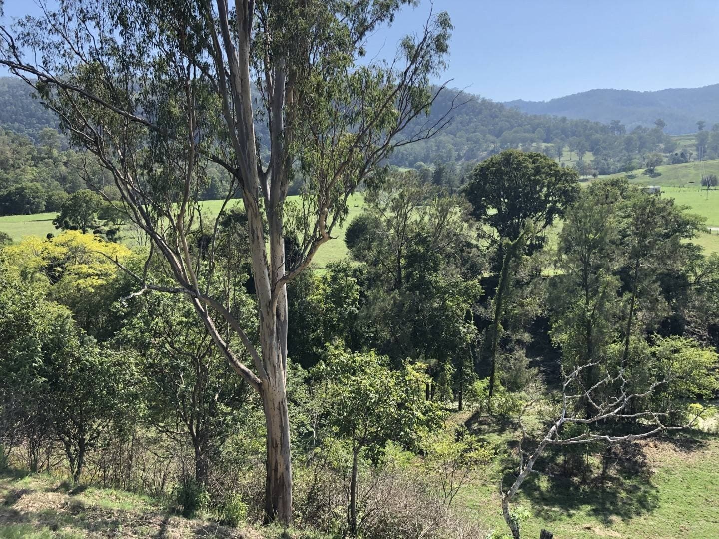LOT 35 Findon Creek Road, Kyogle - Thumbnail 6