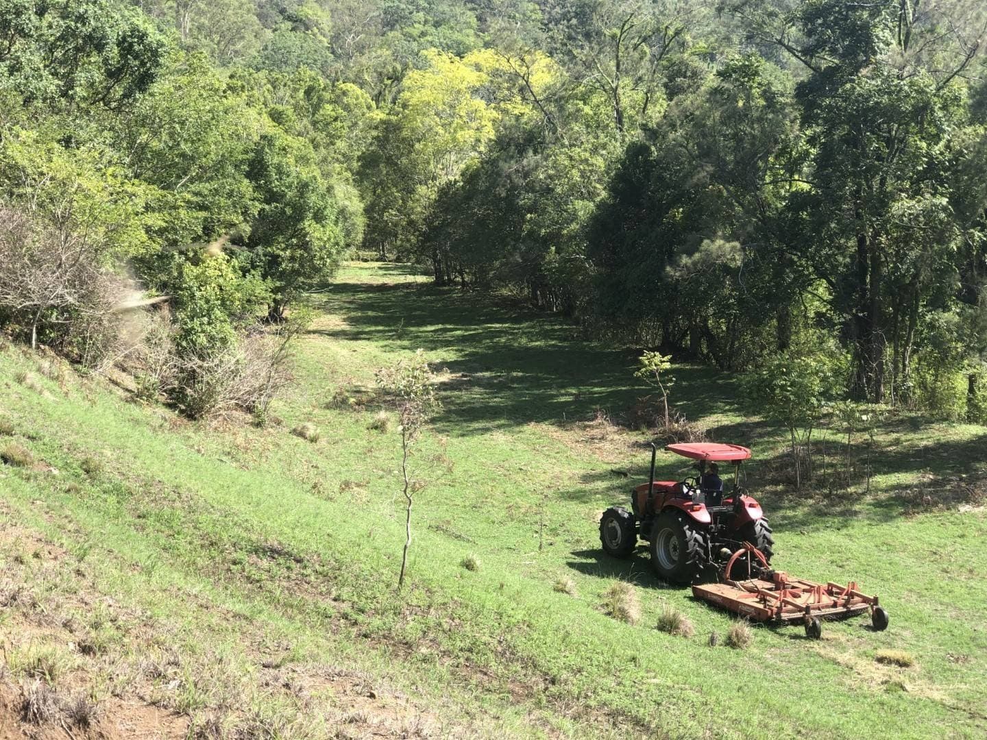 LOT 35 Findon Creek Road, Kyogle - Thumbnail 7