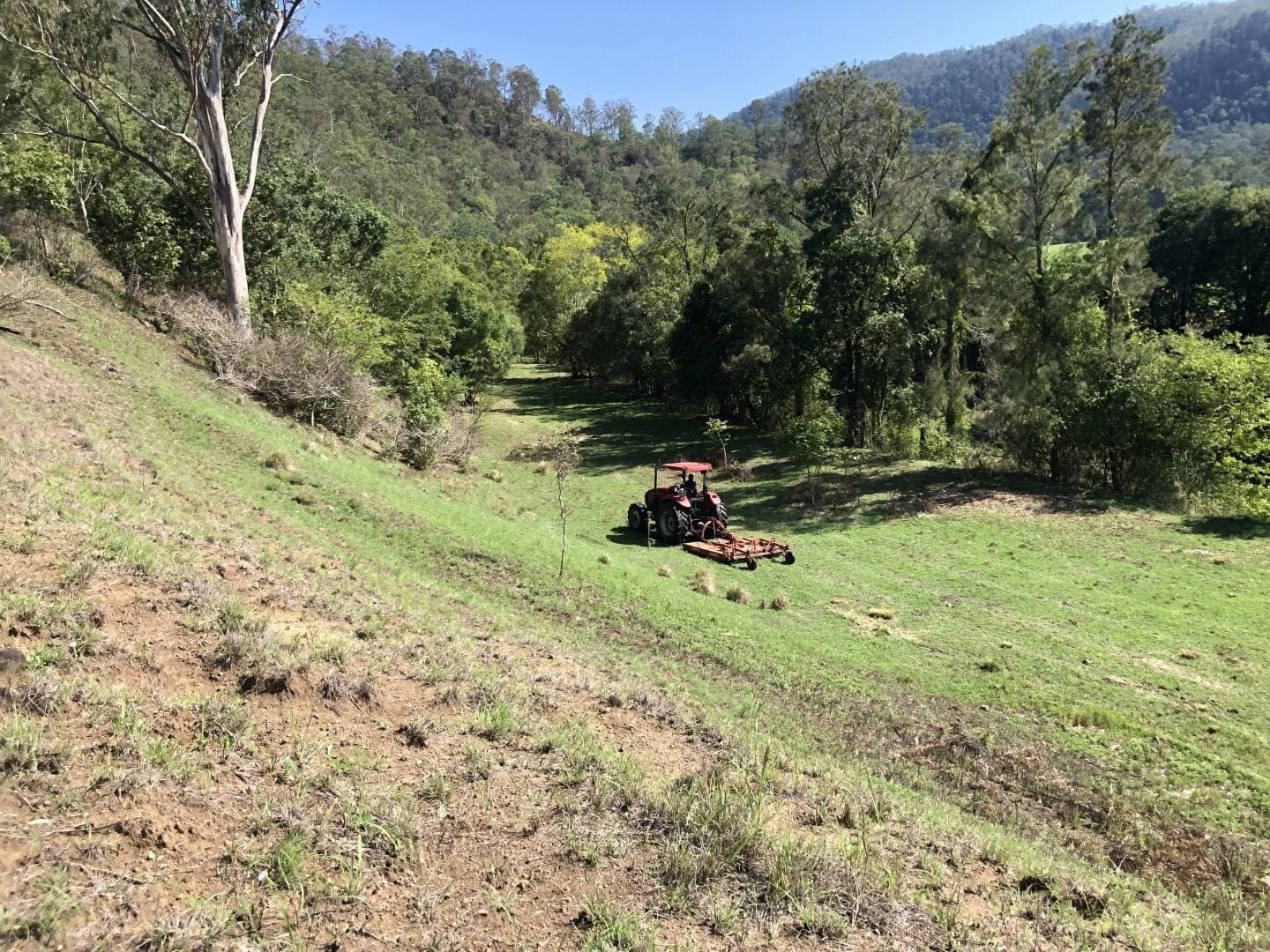 LOT 35 Findon Creek Road, Kyogle - Thumbnail 8