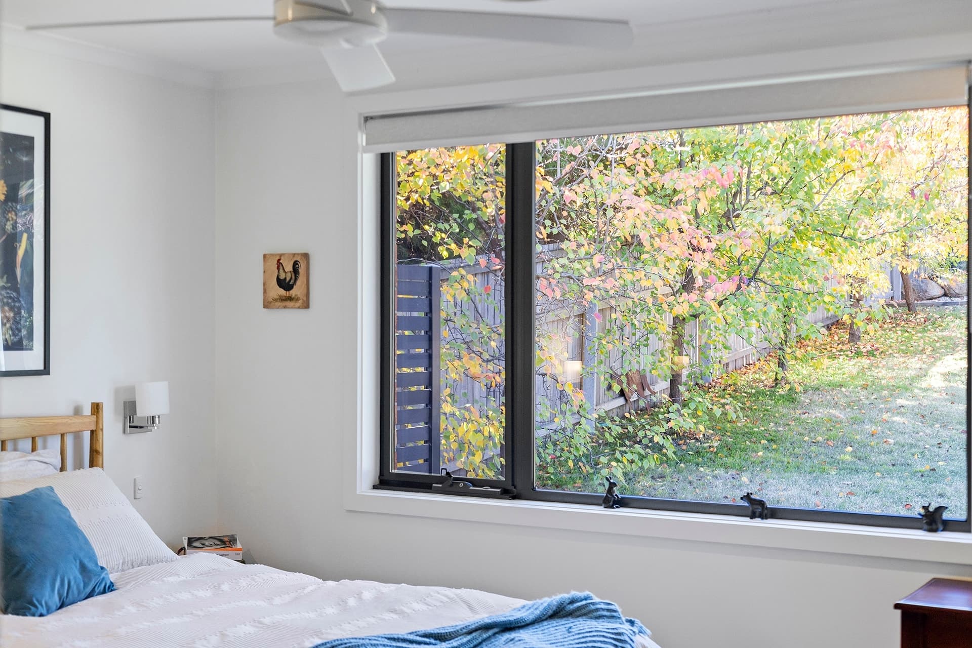 159 Jackie Howe Crescent, Macarthur ACT 2904, Macarthur - Thumbnail 3