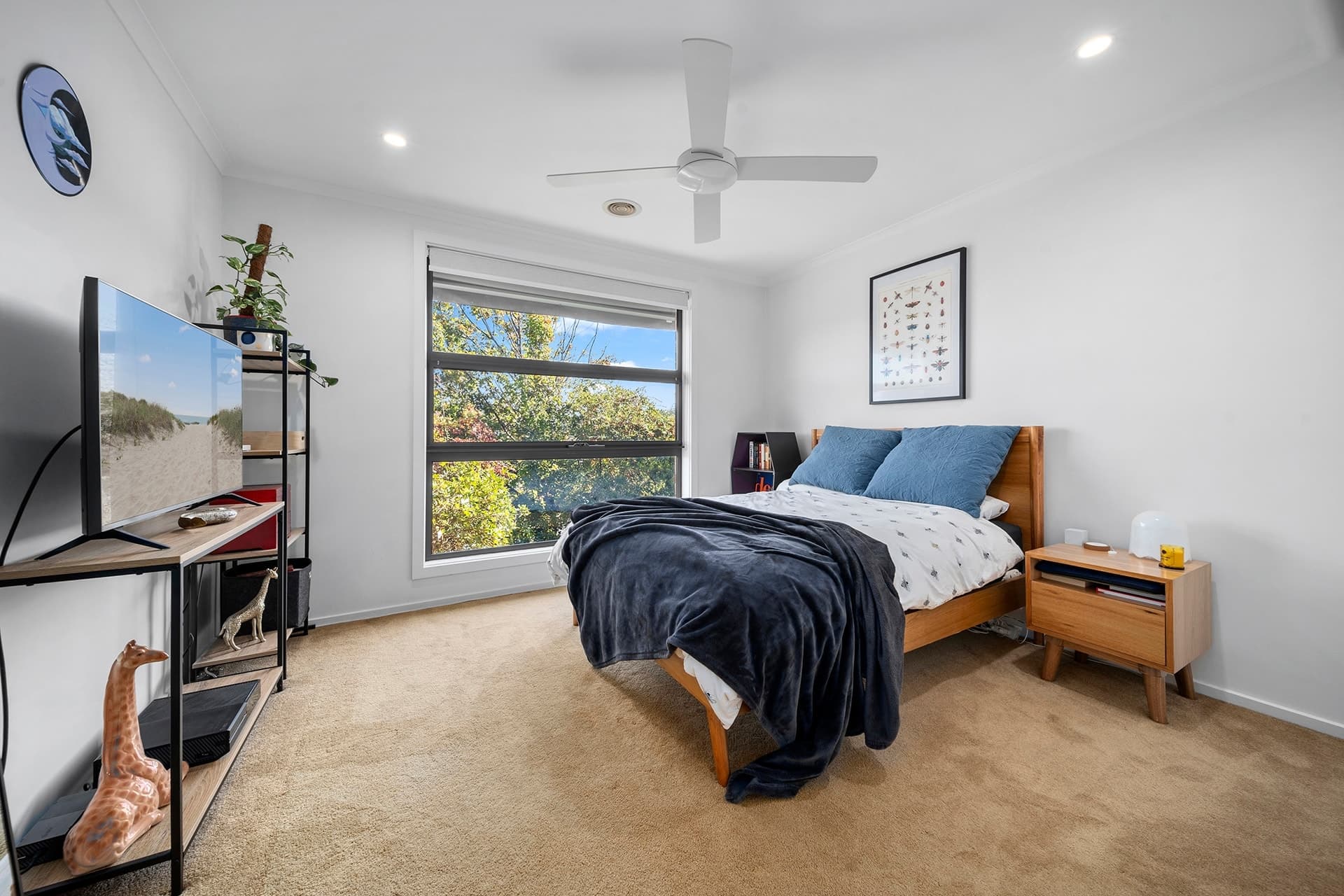 159 Jackie Howe Crescent, Macarthur ACT 2904, Macarthur - Thumbnail 5