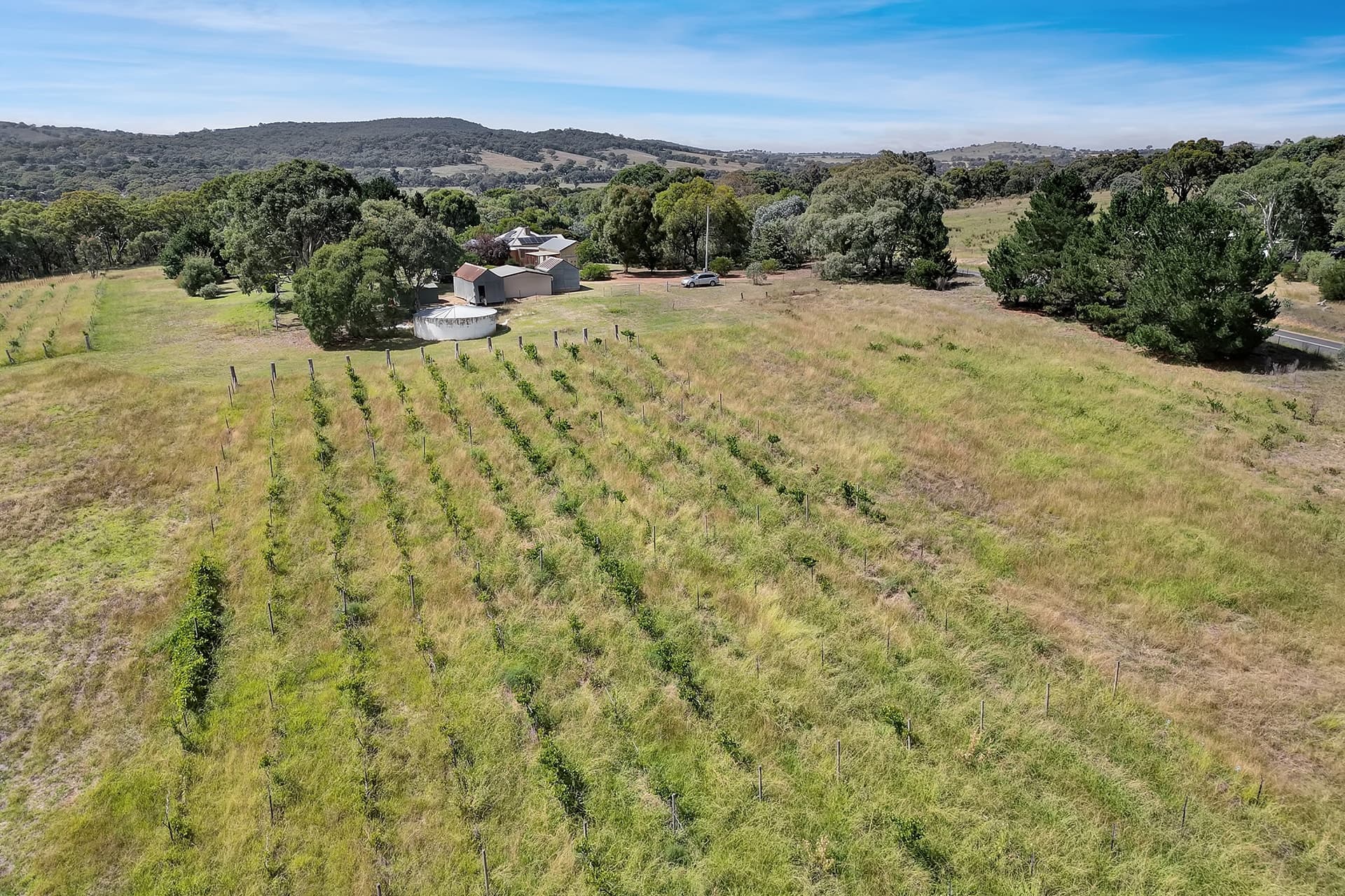1158 Rye Park Road, Dalton NSW 2581, Dalton - Thumbnail 2