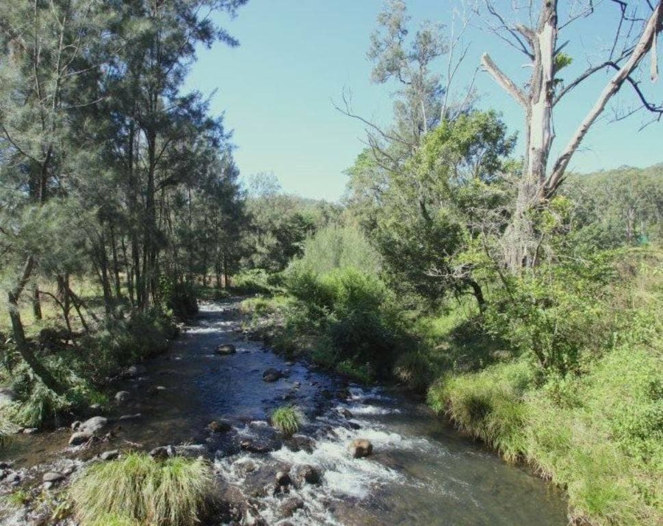 1154 Lynchs Creek St, Kyogle - Thumbnail 3