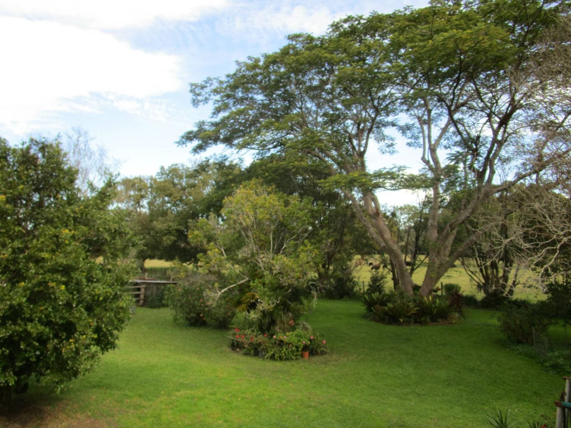 18-30 Larkin Street, Kyogle - Thumbnail 3