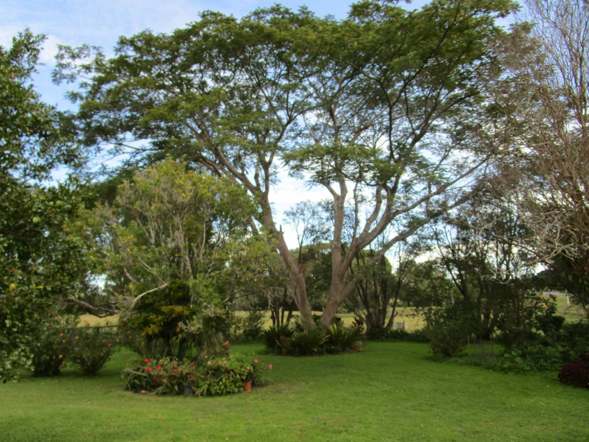 18-30 Larkin Street, Kyogle - Thumbnail 7