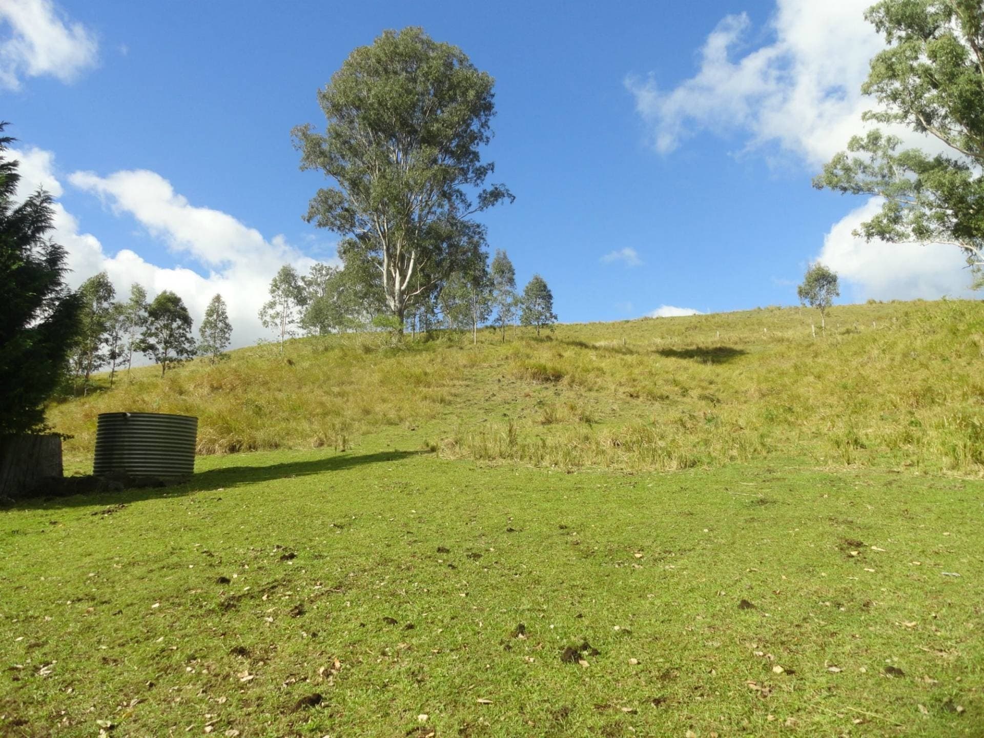 641 Iron Pot Creek Road, Kyogle - Thumbnail 2