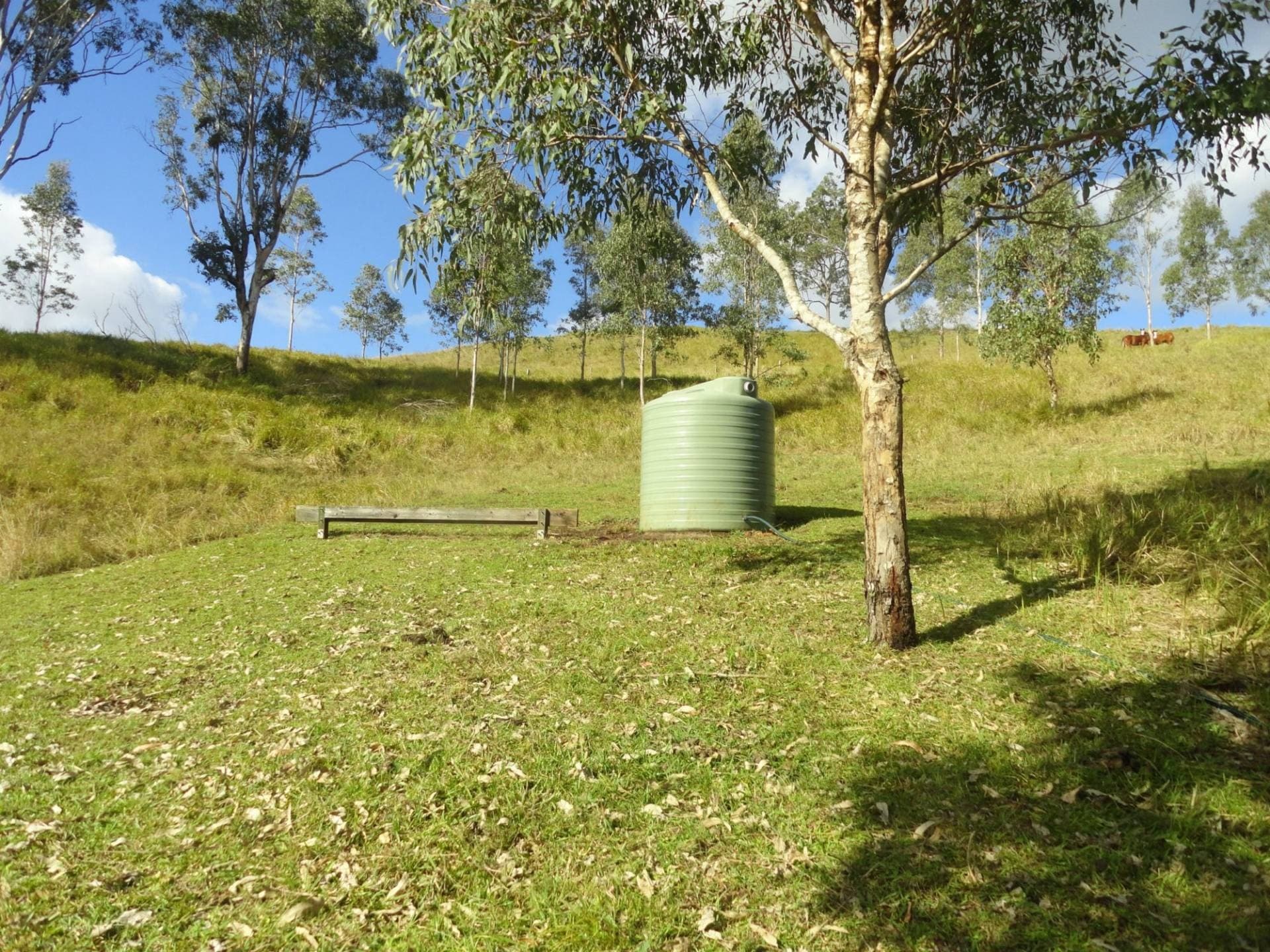 641 Iron Pot Creek Road, Kyogle - Thumbnail 3