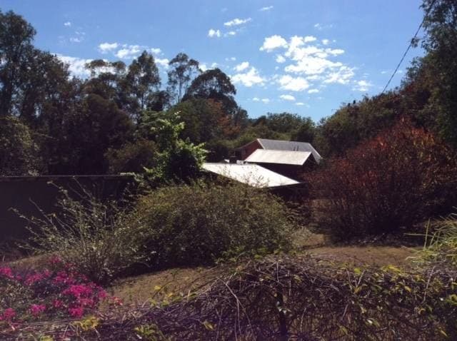 190 Homeleigh Rd, Kyogle - Thumbnail 2