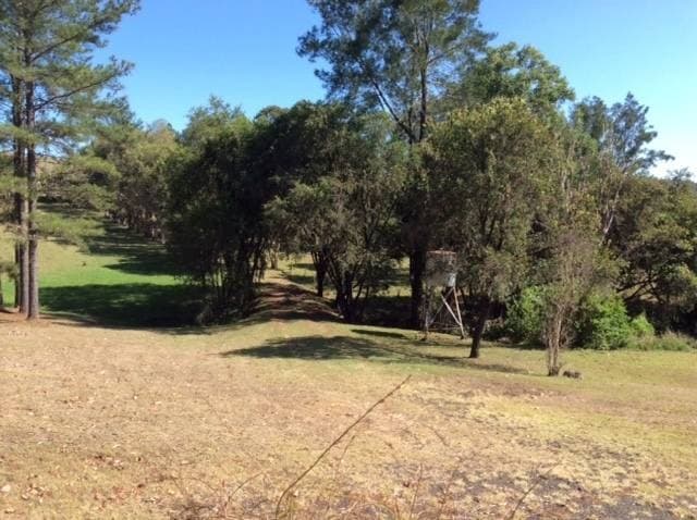 190 Homeleigh Rd, Kyogle - Thumbnail 7
