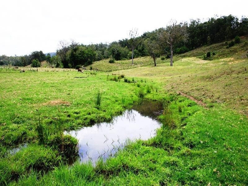 190 Old Cob O Corn Road, Kyogle - Thumbnail 4
