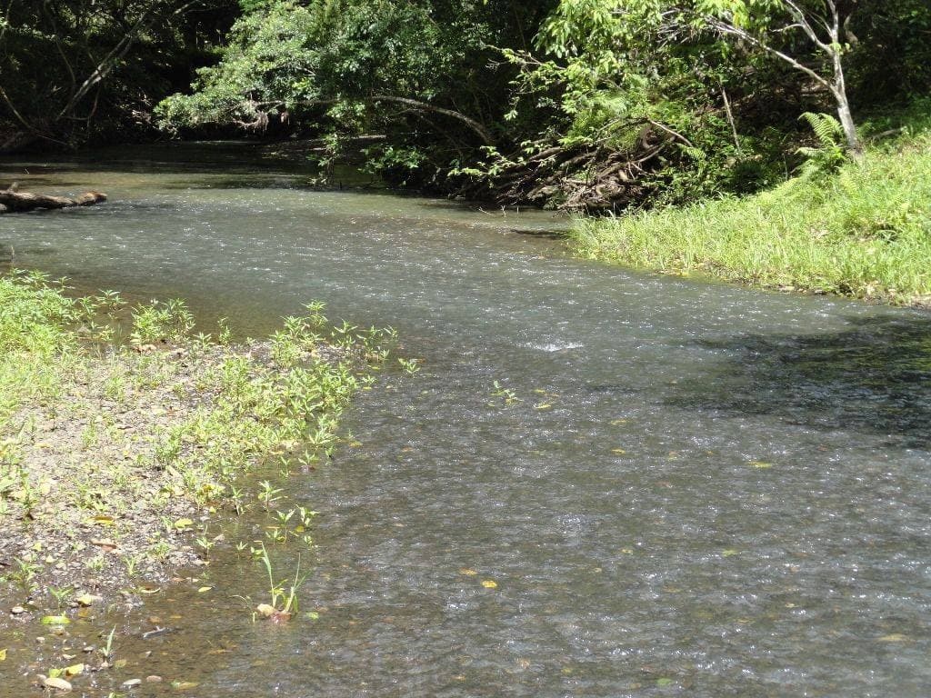 LOT 262 HORSESHOE CREEK ROAD St, Kyogle - Image 1