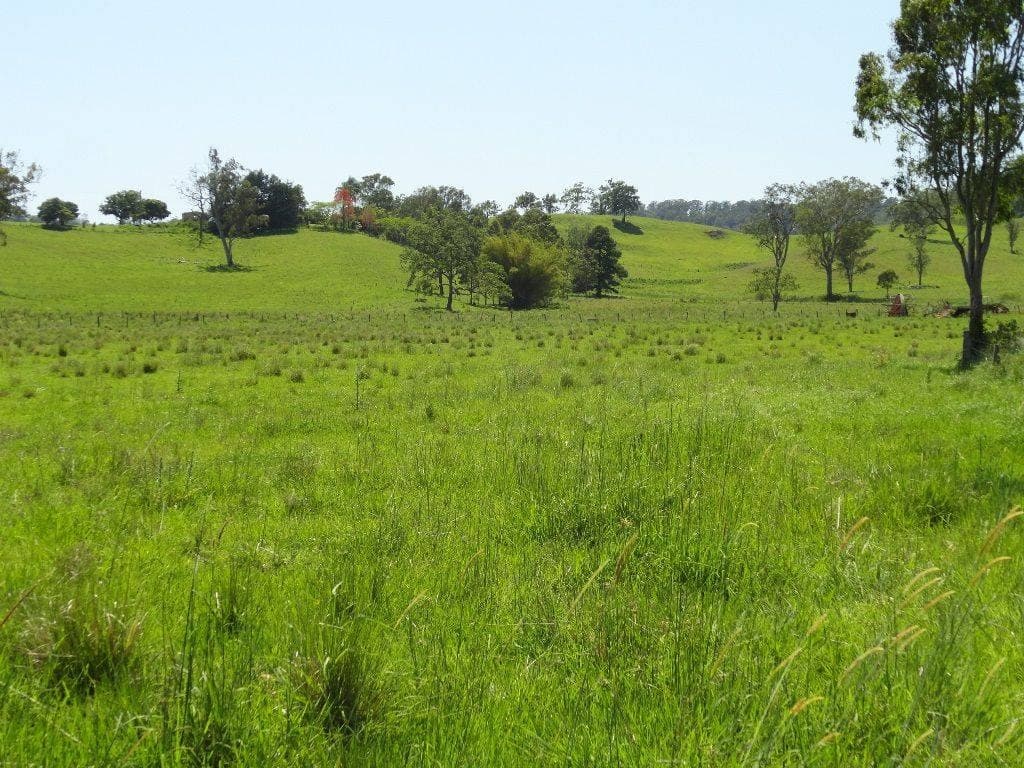 LOT 262 HORSESHOE CREEK ROAD St, Kyogle - Thumbnail 2