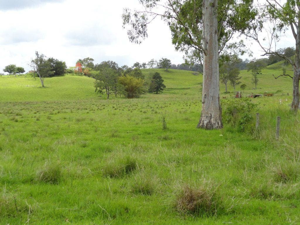 LOT 262 HORSESHOE CREEK ROAD St, Kyogle - Thumbnail 3