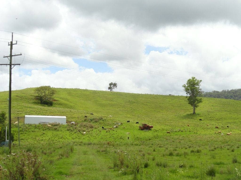 LOT 262 HORSESHOE CREEK ROAD St, Kyogle - Thumbnail 4