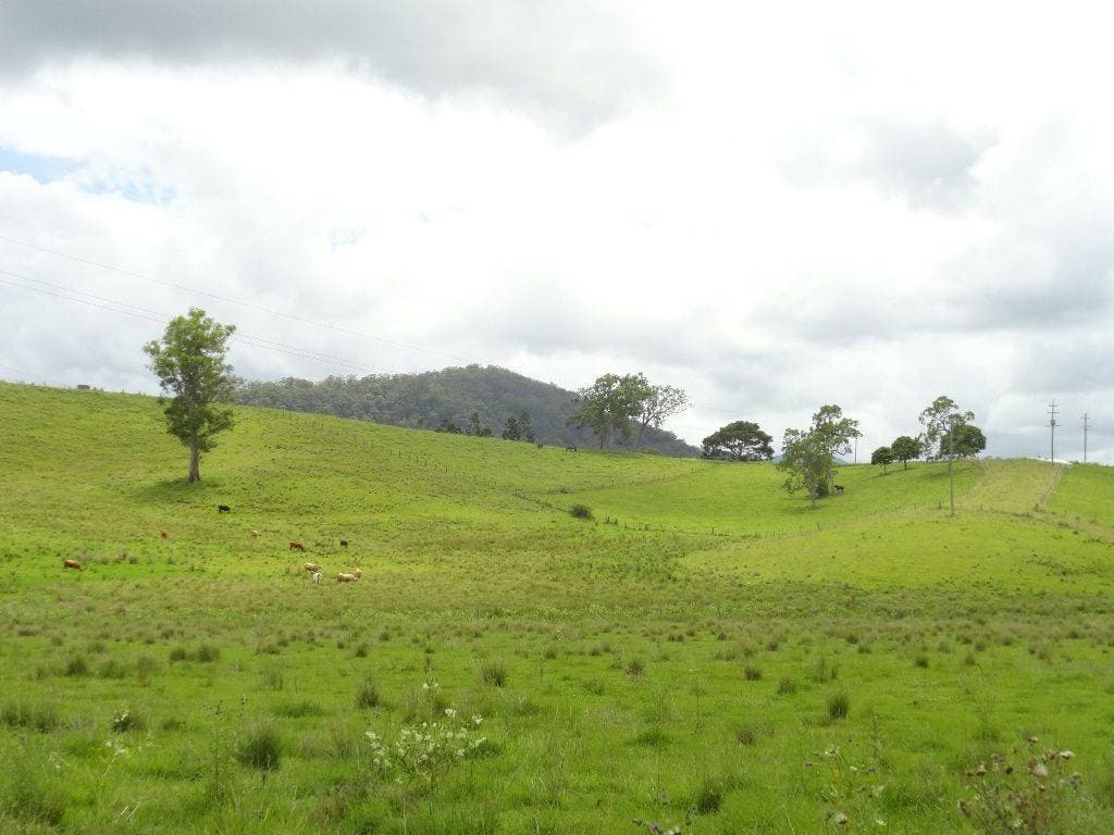 LOT 262 HORSESHOE CREEK ROAD St, Kyogle - Thumbnail 5