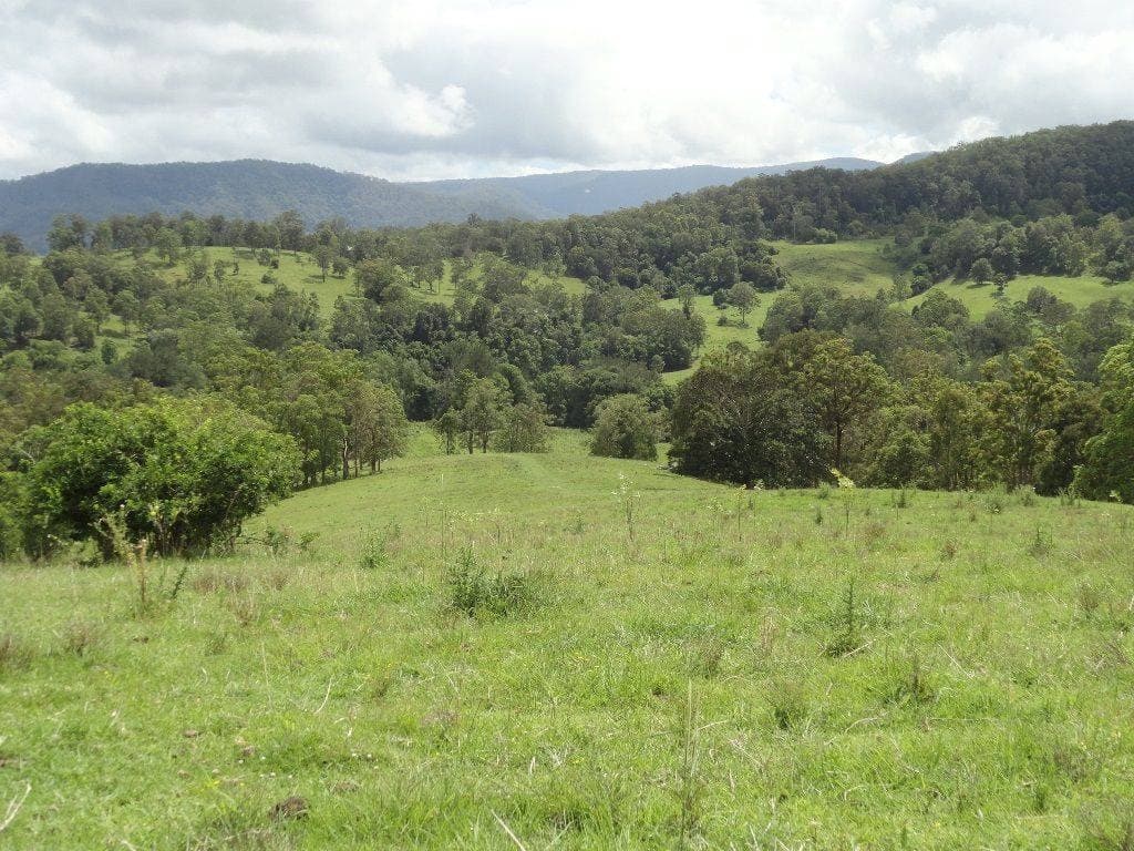 LOT 262 HORSESHOE CREEK ROAD St, Kyogle - Thumbnail 7