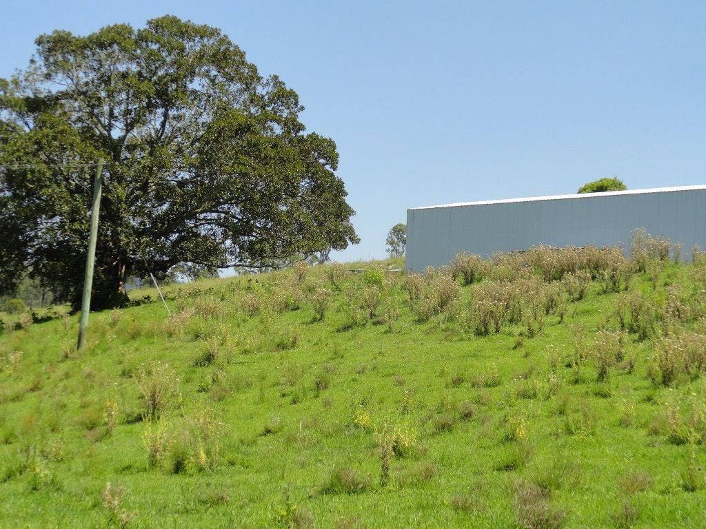 LOT 262 HORSESHOE CREEK ROAD St, Kyogle - Thumbnail 8