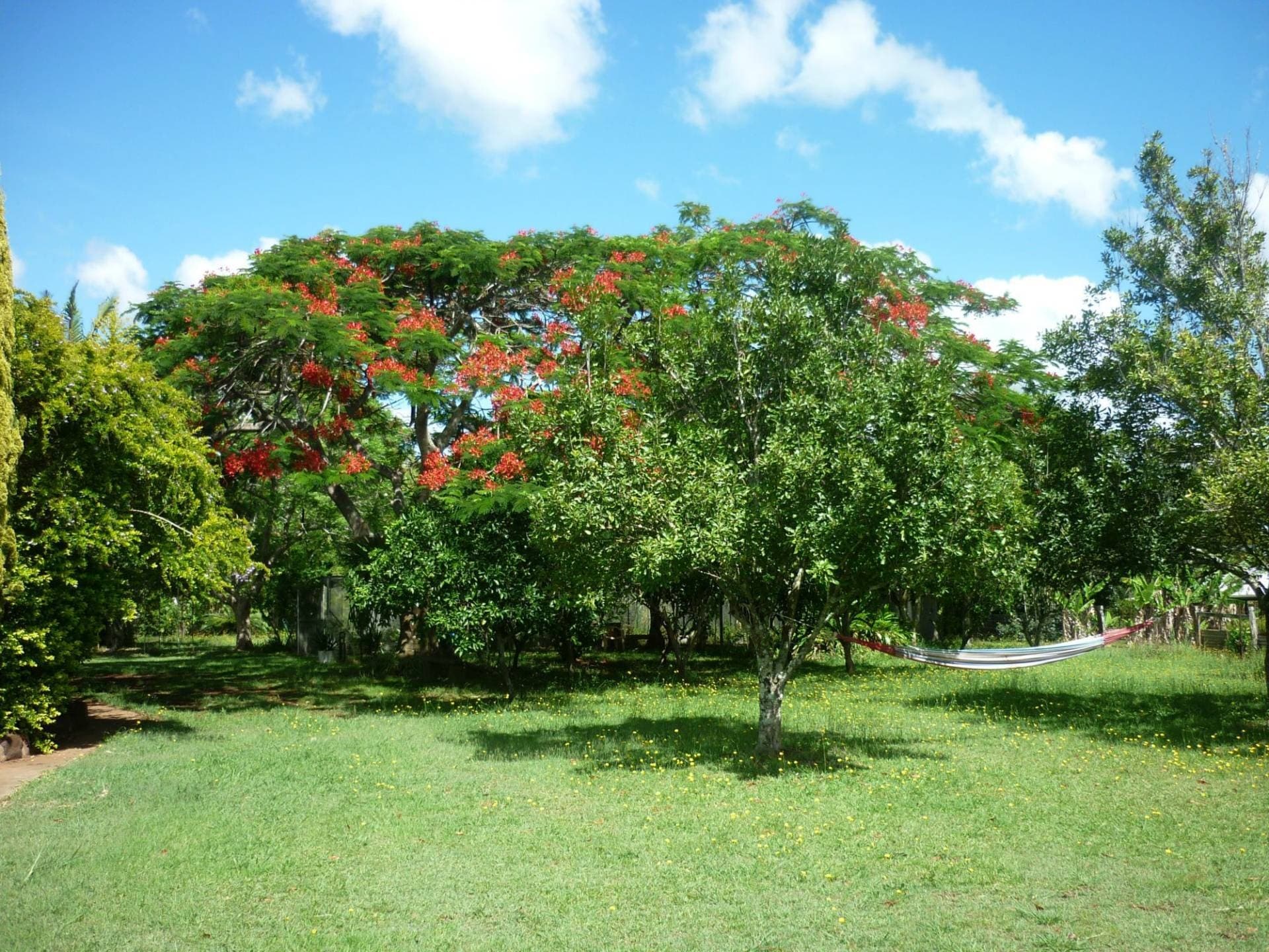 50 Backmede Road, Kyogle - Thumbnail 2