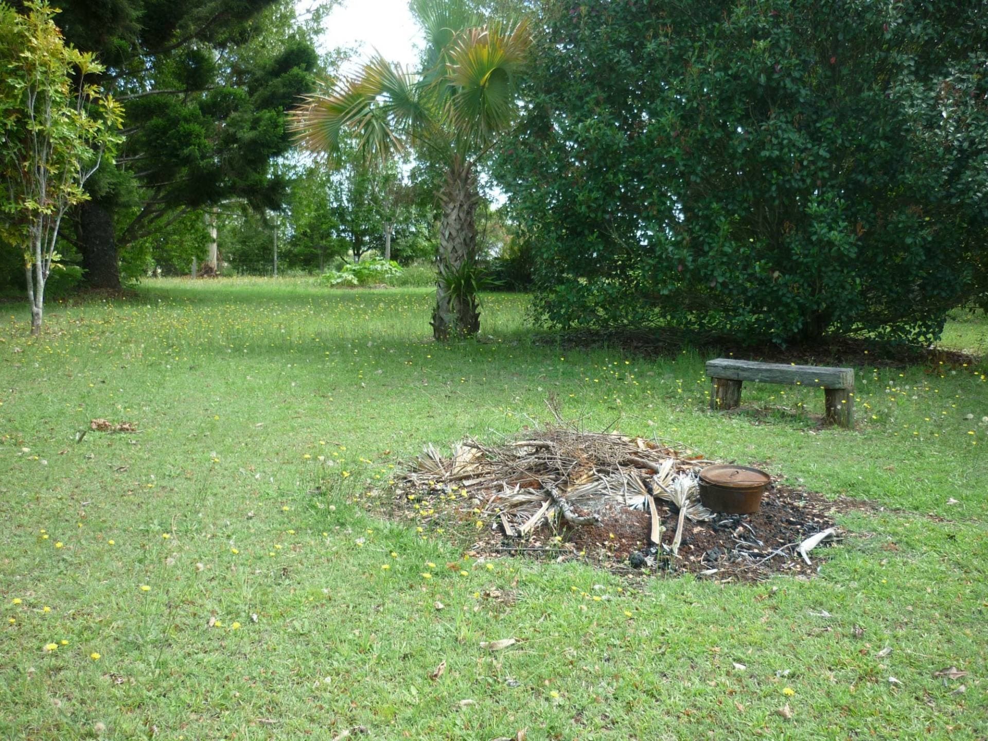 50 Backmede Road, Kyogle - Thumbnail 4