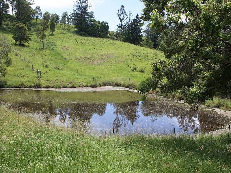 418 Sargents Road, Kyogle - Image 1