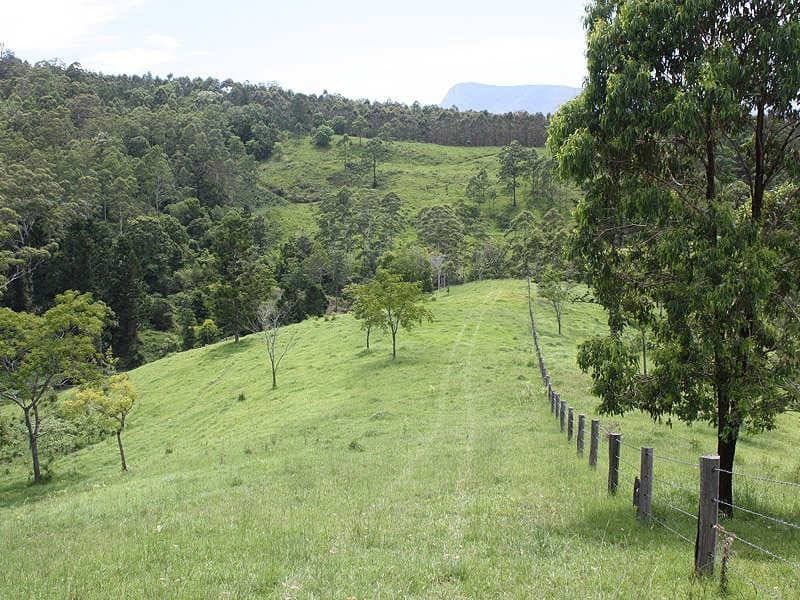 418 Sargents Road, Kyogle - Thumbnail 4