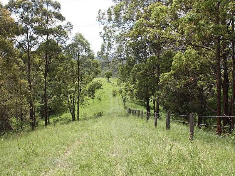 418 Sargents Road, Kyogle - Thumbnail 7