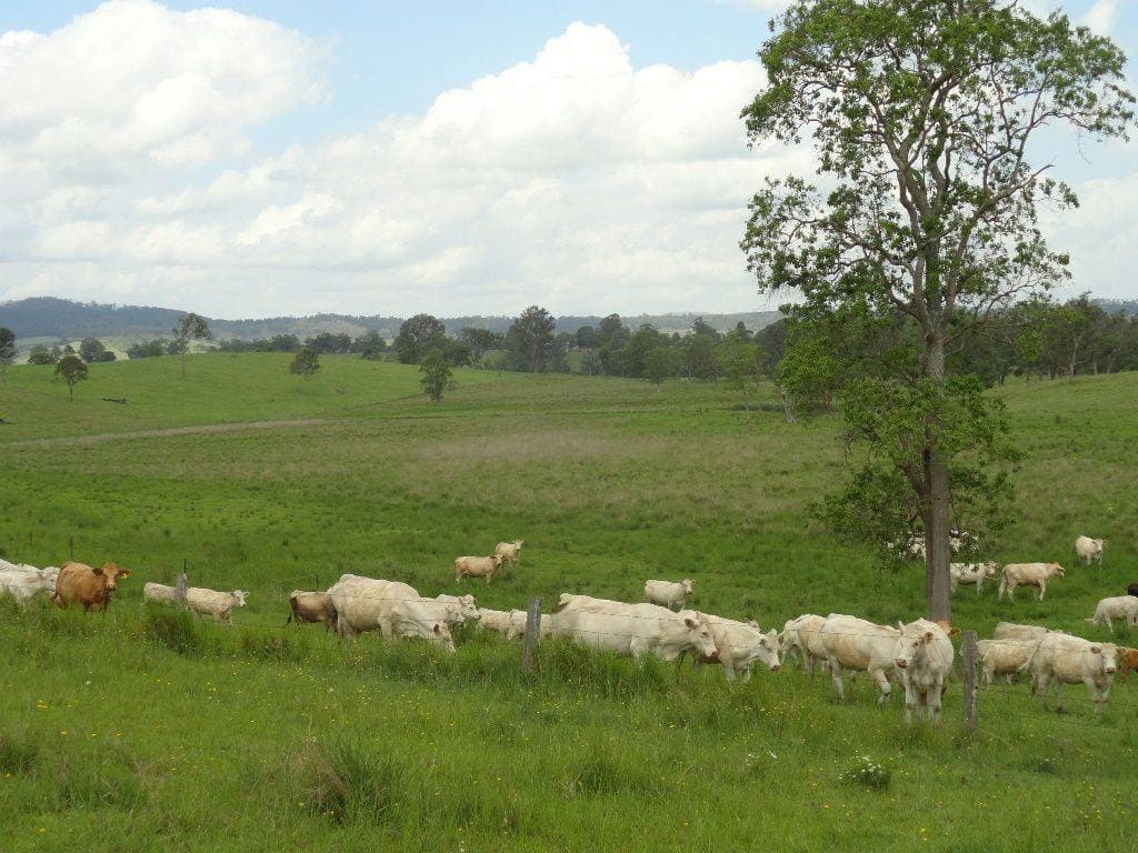 226 KNIGHTS ROAD St, Kyogle - Image 1
