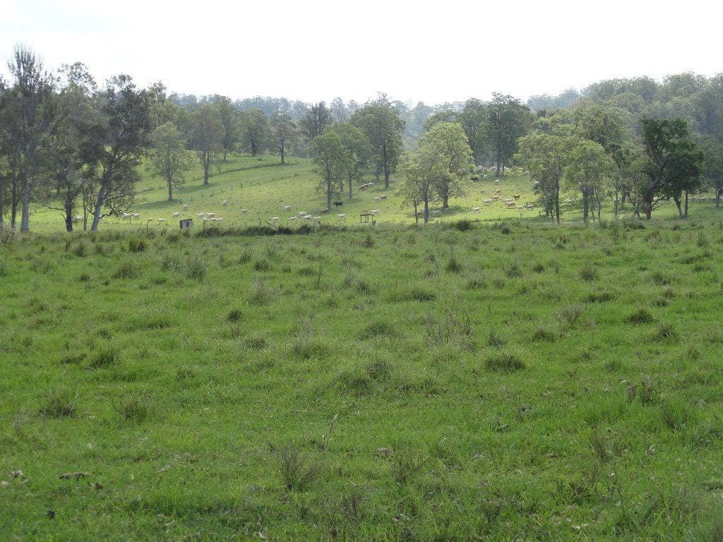 226 KNIGHTS ROAD St, Kyogle - Thumbnail 2