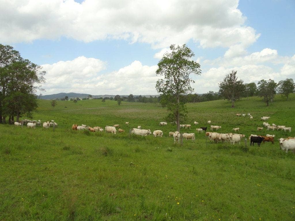 226 KNIGHTS ROAD St, Kyogle - Thumbnail 3