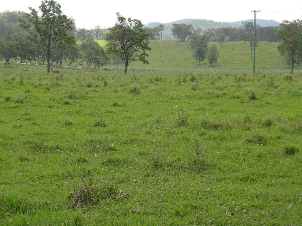 226 KNIGHTS ROAD St, Kyogle - Thumbnail 4