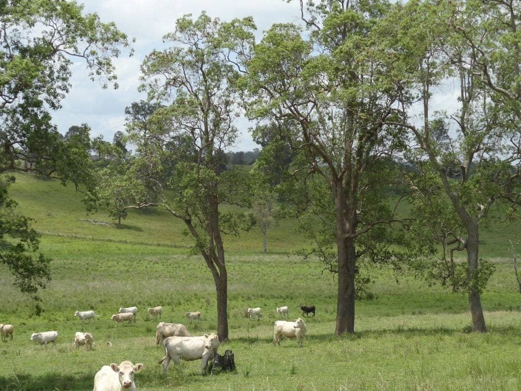 226 KNIGHTS ROAD St, Kyogle - Thumbnail 6